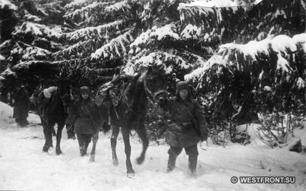 Конная разведка 1 гв. мсд в лесу. Декабрь 1941 г. Фото Минкевич В.Н.