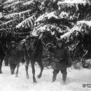 Конная разведка 1 гв. мсд в лесу. Декабрь 1941 г. Фото Минкевич В.Н.